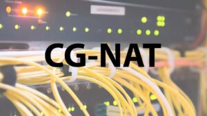 salir de CG-NAT con Digi para NAS