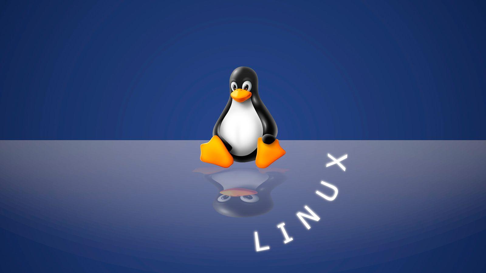 Rendimiento Linux 6.19 Rendimiento Linux 6.19
