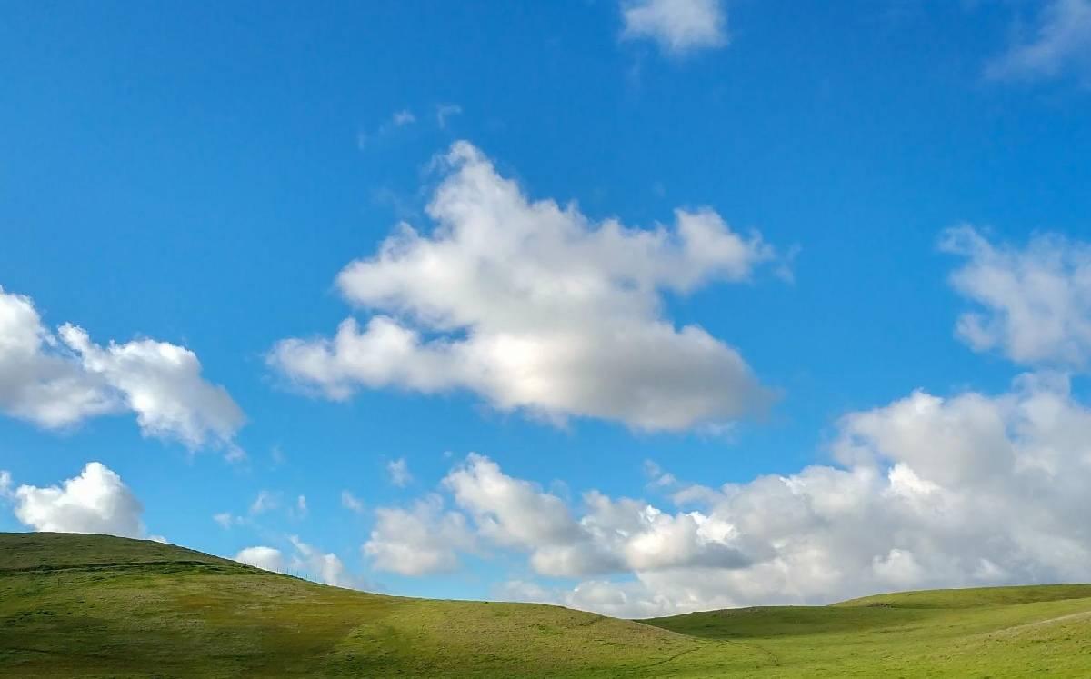 Colina verde del fondo de Windows XP Colina verde del fondo de Windows XP