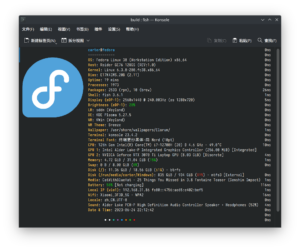 fastfetch guia completa