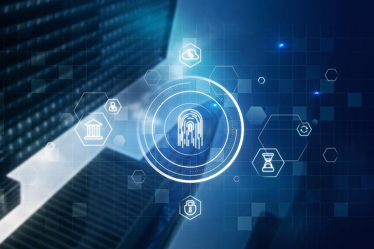 Seguridad digital para negocios Protección de datos y ciberseguridad