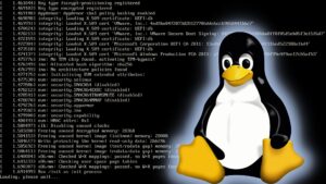 Linus Torvalds