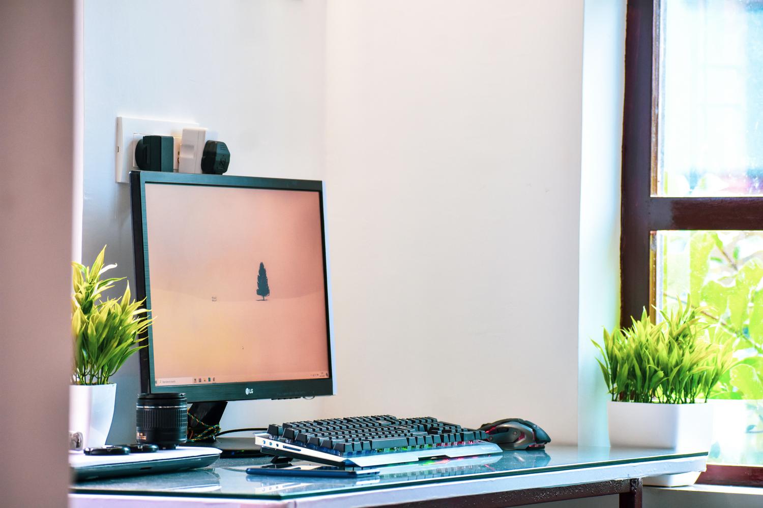 Espacio de trabajo en casa luminoso con un ordenador de sobremesa y plantas Espacio de trabajo en casa luminoso con un ordenador de sobremesa y plantas